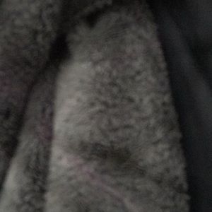 Meet your Posher, Brayden